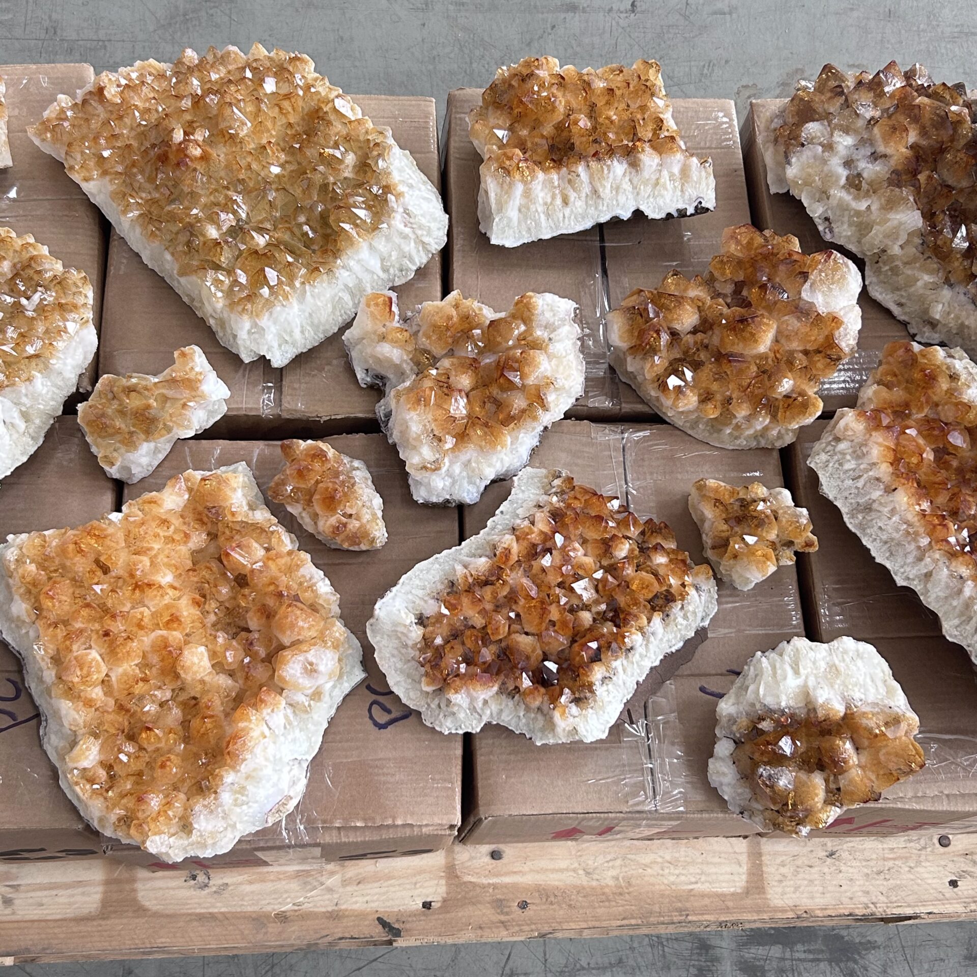 CITRINE GEODEN